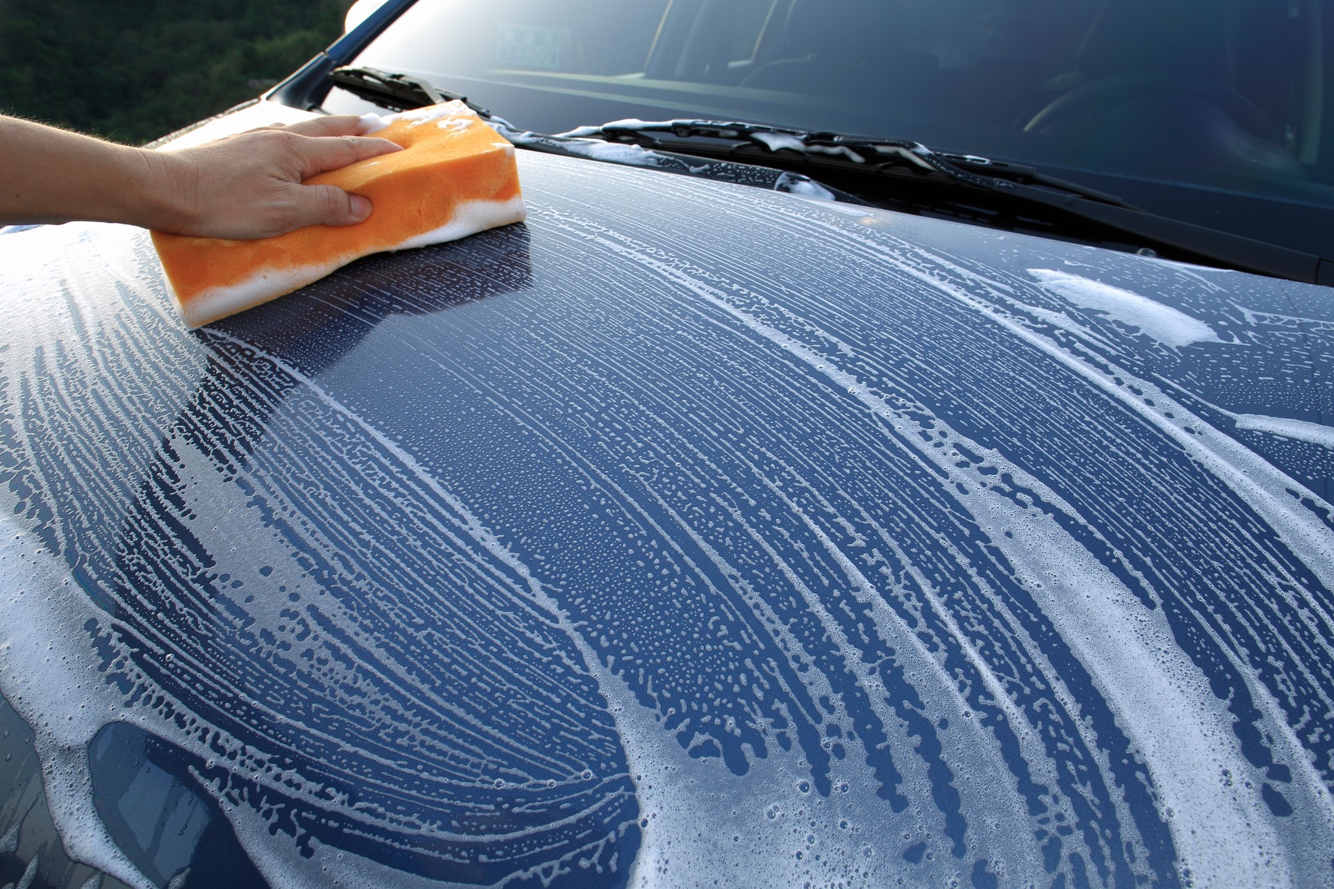 Hand Car Wash Sponge